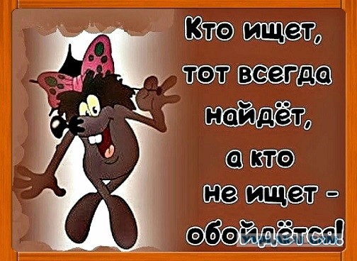 Кот спрятался