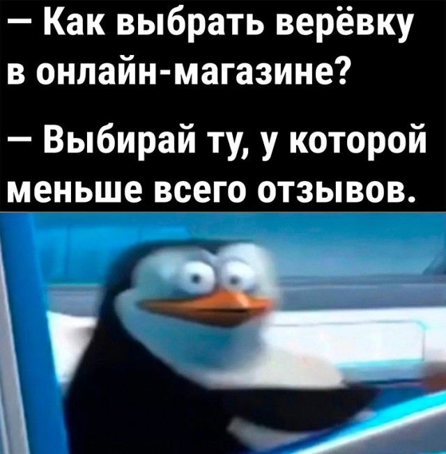Весёлый полтишок 08.01.25