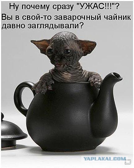 Как вручную делают китайский чайник