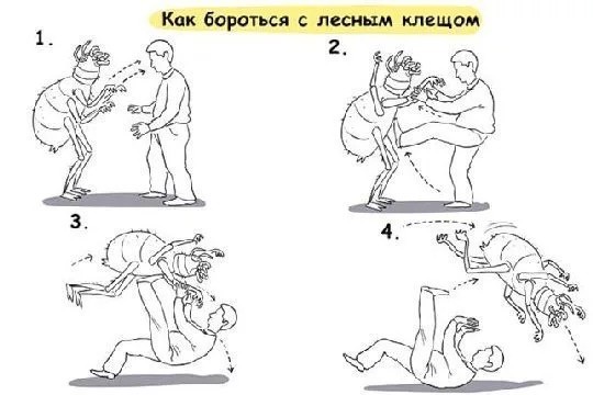 Выживалово против клеща Валеры