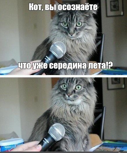 Середина лета.