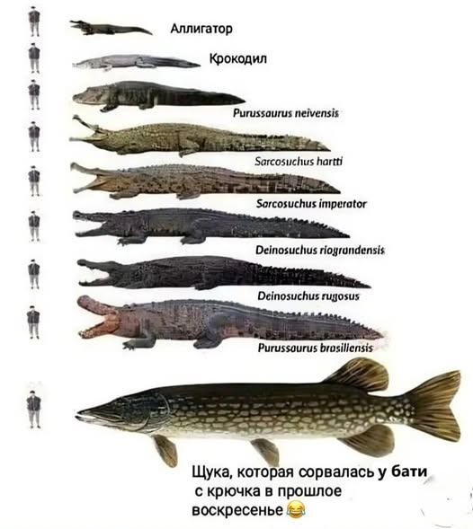 Всякое разное.