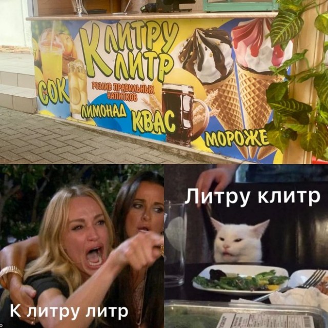 К котовторнику: подборка картинок-баянов с котиками и про котиков. Выпуск 22