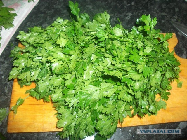 Брат поймал рыбку