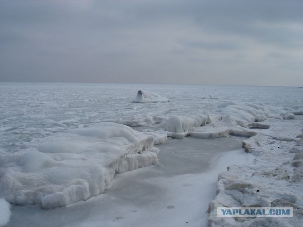 Крещенские купания и качество жизни