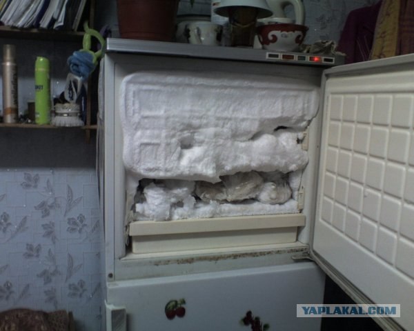 Как живут студенты!