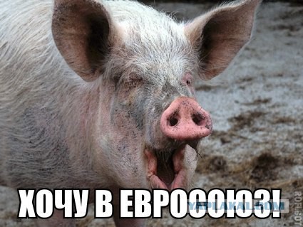 Рус! Уползай в кусты, сдавайся!