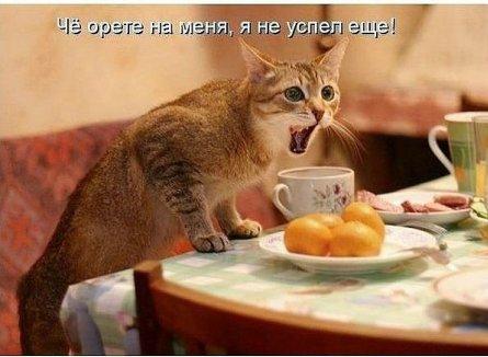 Наш день, без политики так как..