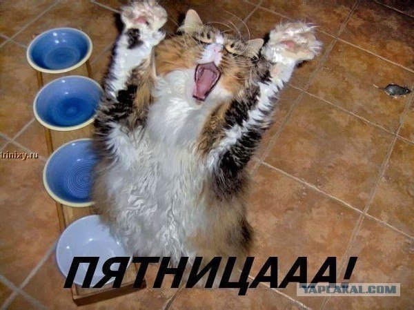 Поздравляю всех