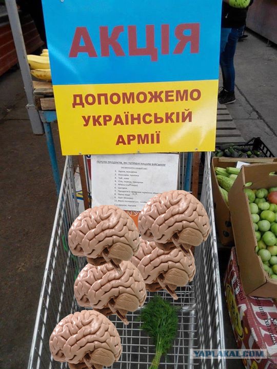 Вот такие тележки