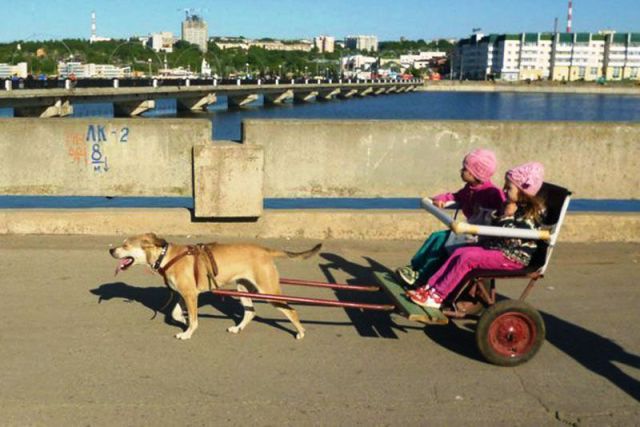 Весёлые картинки