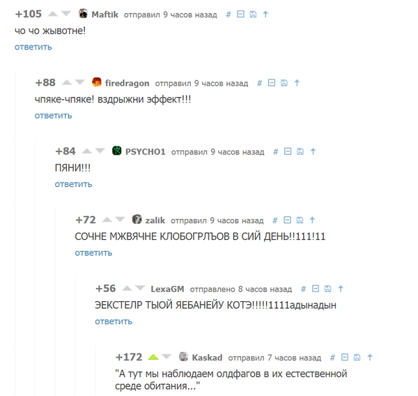 Забавные картинки из интернетов