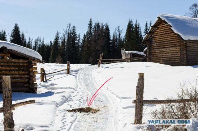 Там, где не следят за курсом доллара