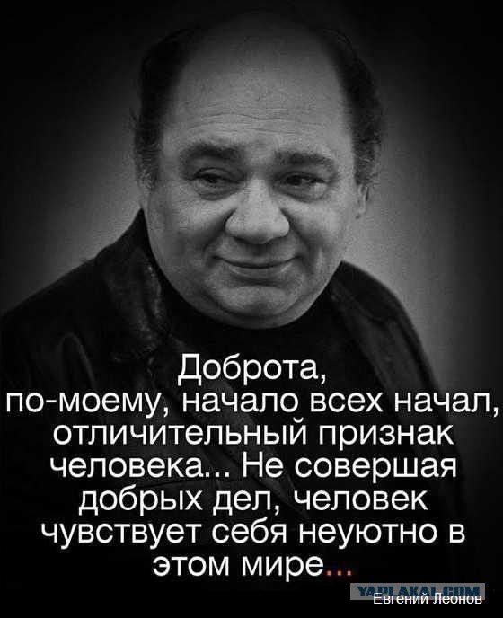 Они плачут, гавкают и зовут на помощь