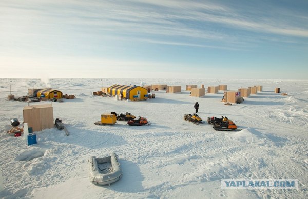 Друзья пришли!