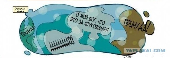 Как питомцы видят вас?