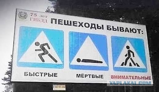 Ну и зачем по сторонам смотреть, подумал пешеход
