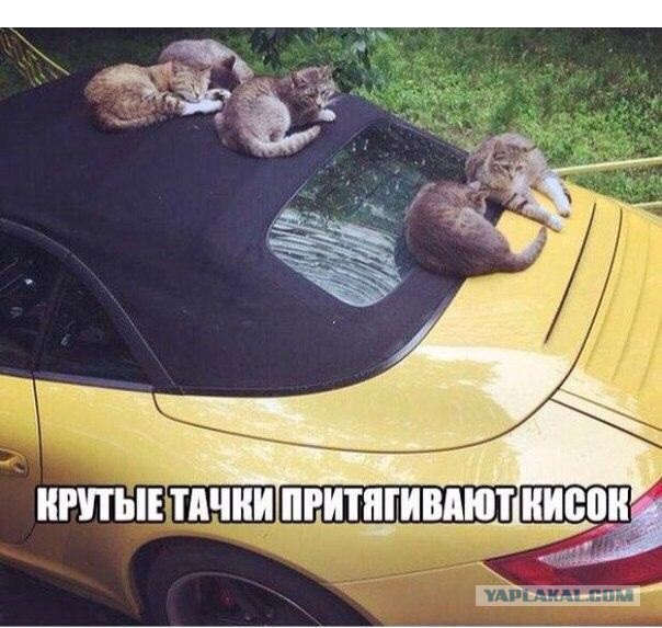 Подборка автоприколов