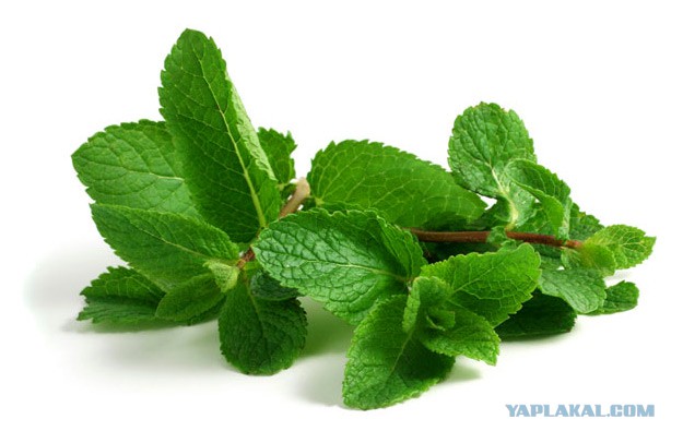 Самый грустный стриптиз