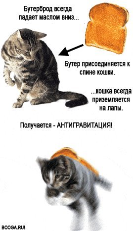 Подборка интересных и веселых картинок