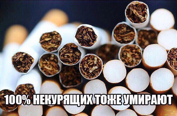 Приколы в стиле деградация
