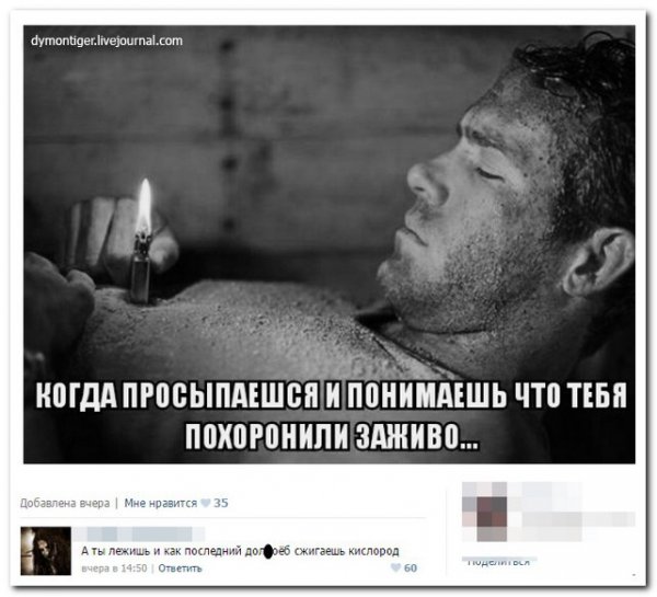 Смешные комментарии из социальных сетей 17.02.2016