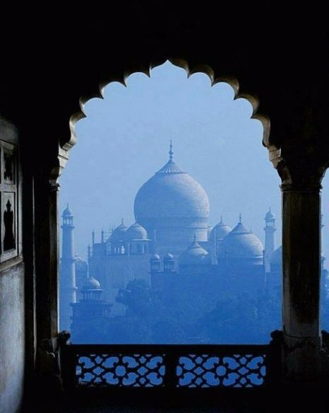 Моменты, запечатлённые на фото и просто позитив 5