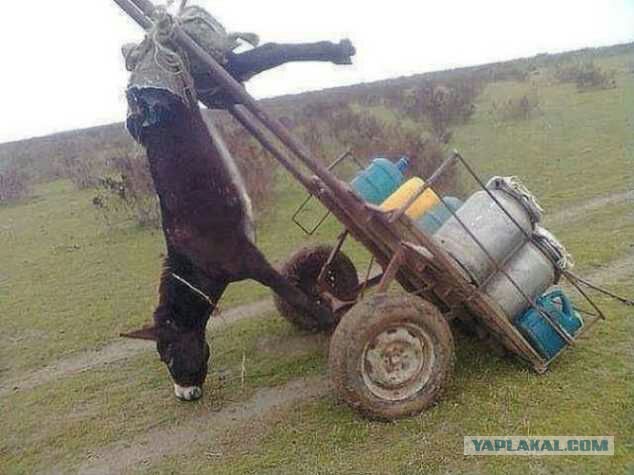 Неприятности... они, порой, случаются со всеми