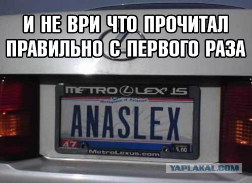 Три десятка абсурдных знаков и табличек, веселящих до слёз своей очевидностью