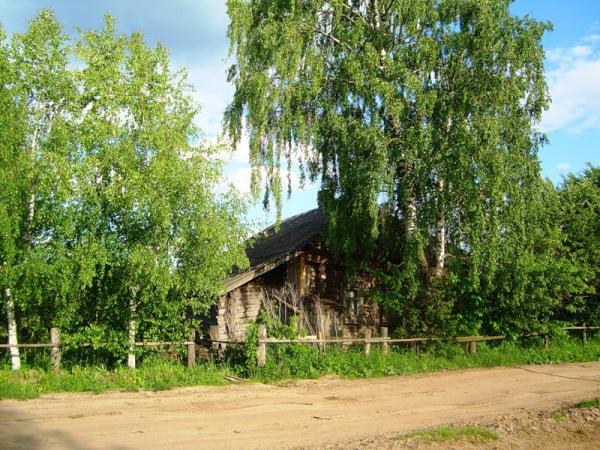 Эх, хорошо-то как летом в деревне