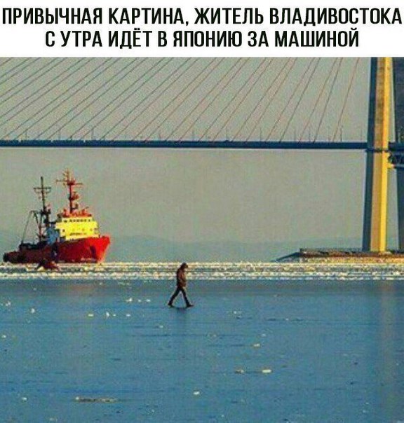 Ударная доза тупежа и лёгкой наркомании к выходным