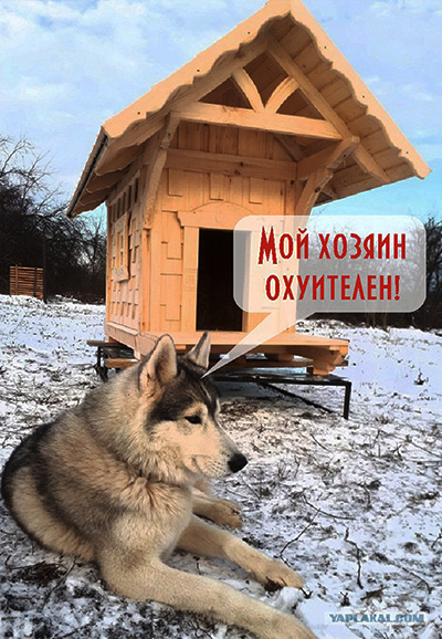 Как мы с другом собачью будку запилили..