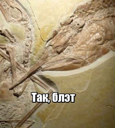 Трагедия Юрского периода. Рамфоринх охотился за рыбой, а рыба охотилась на него