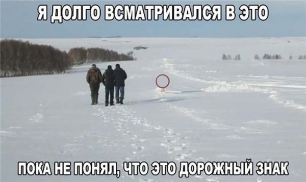 Подборка интересных и веселых картинок