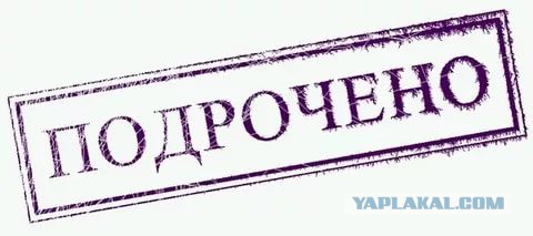 "Я денег хочу и т***ться". Дана Борисова предложила дорогие секс-услуги