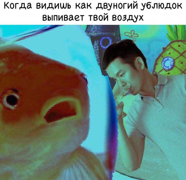 Нестандартный юмор