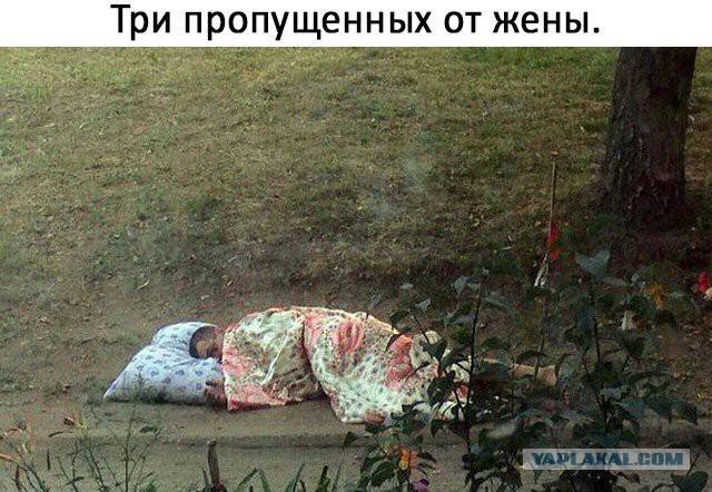 Смешные комментарии из социальных сетей 27.07.2018