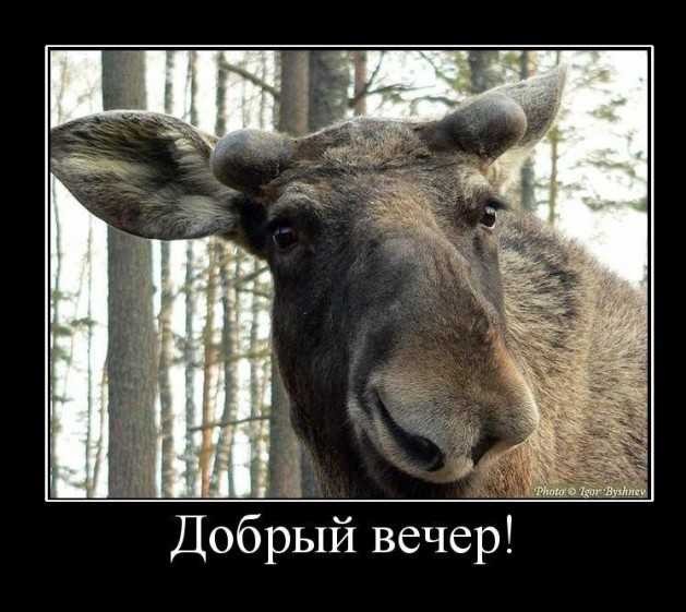 Кого звать, если...