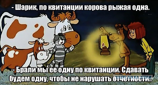 Почему мы должны платить налог на землю, если купили её в собственность?