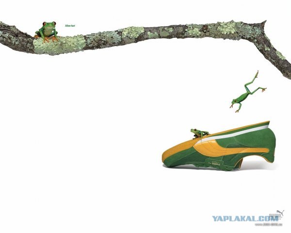 Креативная реклама от Puma