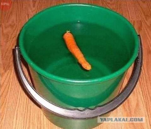 Хочу денег заработать, коллеги!