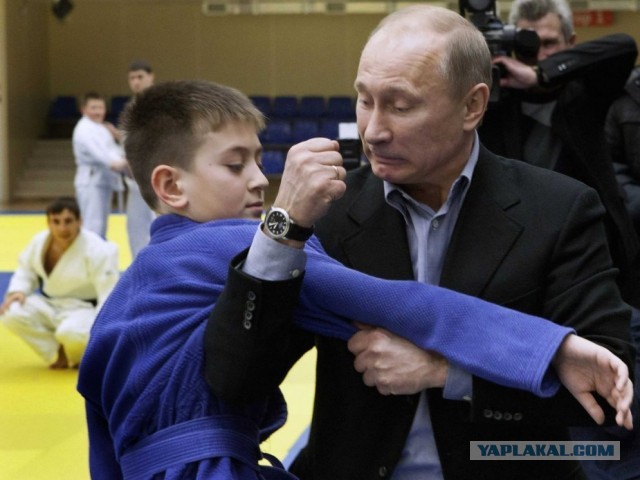 «Это победа!»: мужчину, включавшего по ночам лошадиное ржание, обвинили в психологическом насилии над соседями