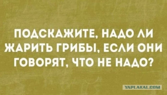Бредзона 28.03.20