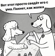 Неожиданность во время интервью