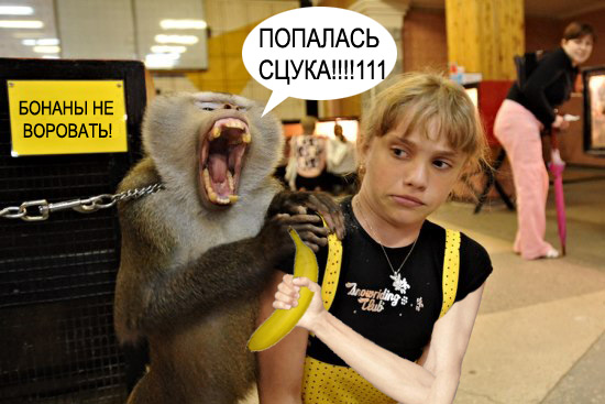 Фотожаба: Не совать!