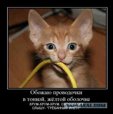 Я инженер, что вы меня лечите?!