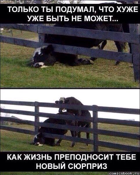 Картинки и буквы в субботу