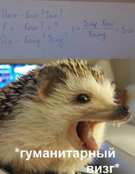 Школьный курс математики