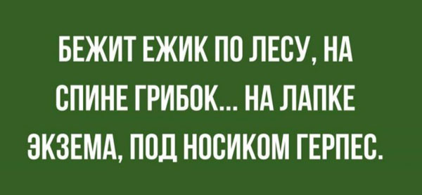 Картинок вам на ночь глядя