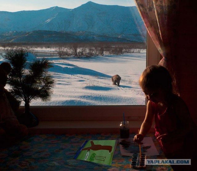 Фотожаба: Рисунок с натуры